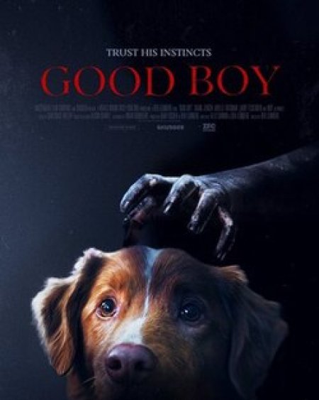 Good Boy